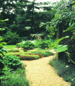 Create a Subversive Knot Herb Garden Image